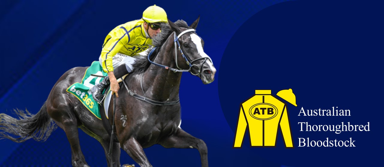 Australian Thoroughbred Bloodstock