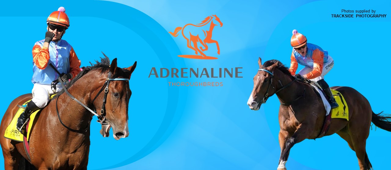Adrenaline Thoroughbreds