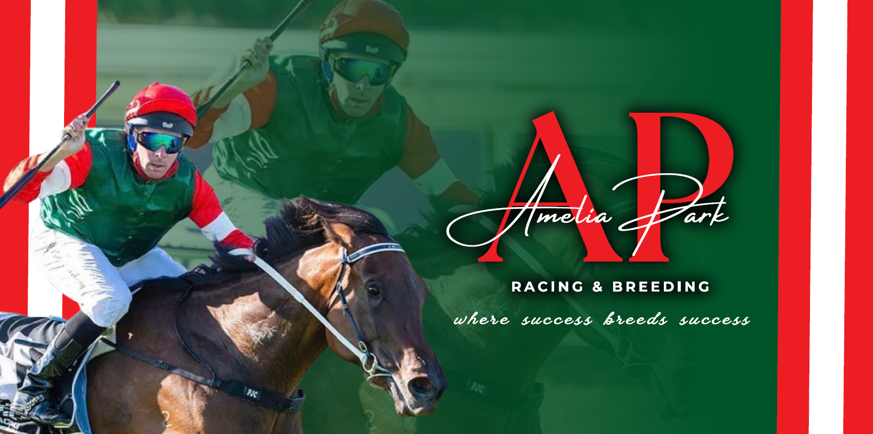 Amelia Park Racing & Breeding