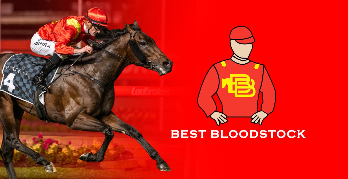 Best Bloodstock