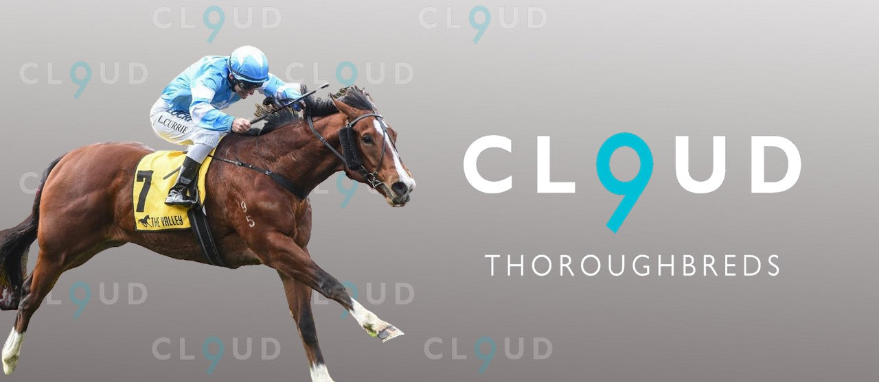 Cloud 9 - Brent Stanley