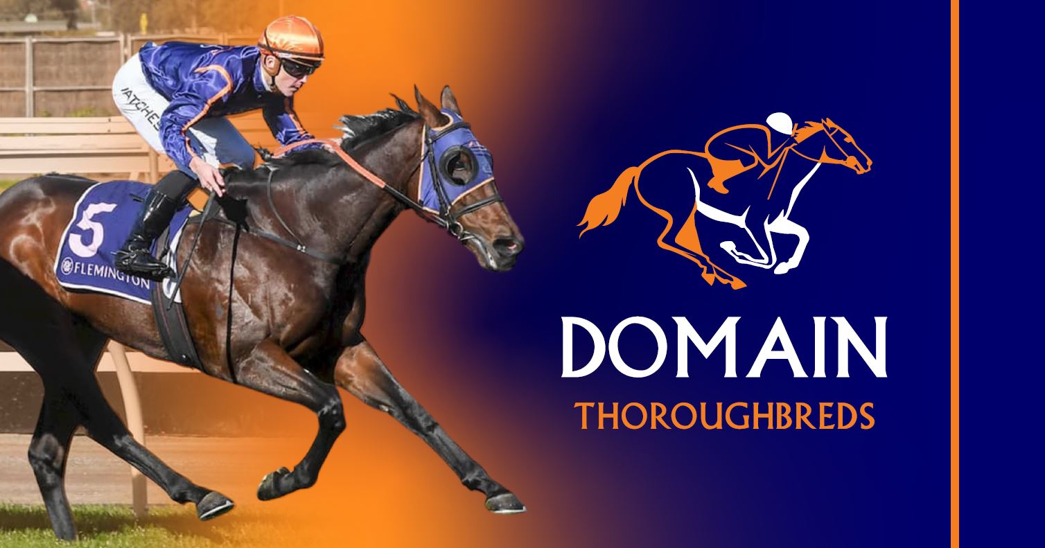 Domain Thoroughbreds