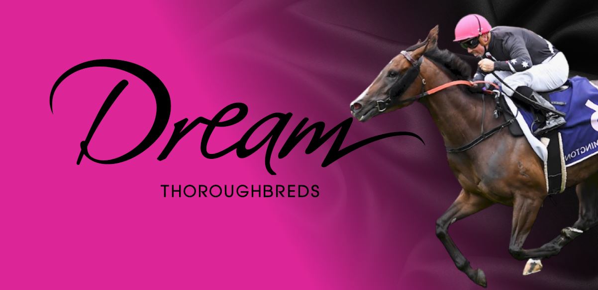 Dream Thoroughbreds