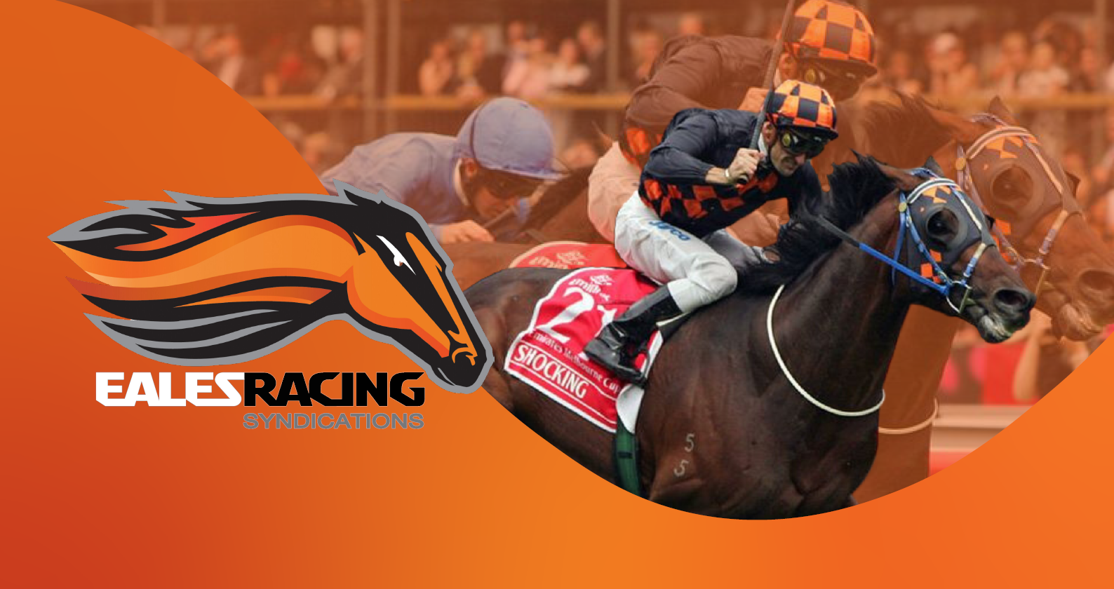 Eales Racing Syndication x FanFave