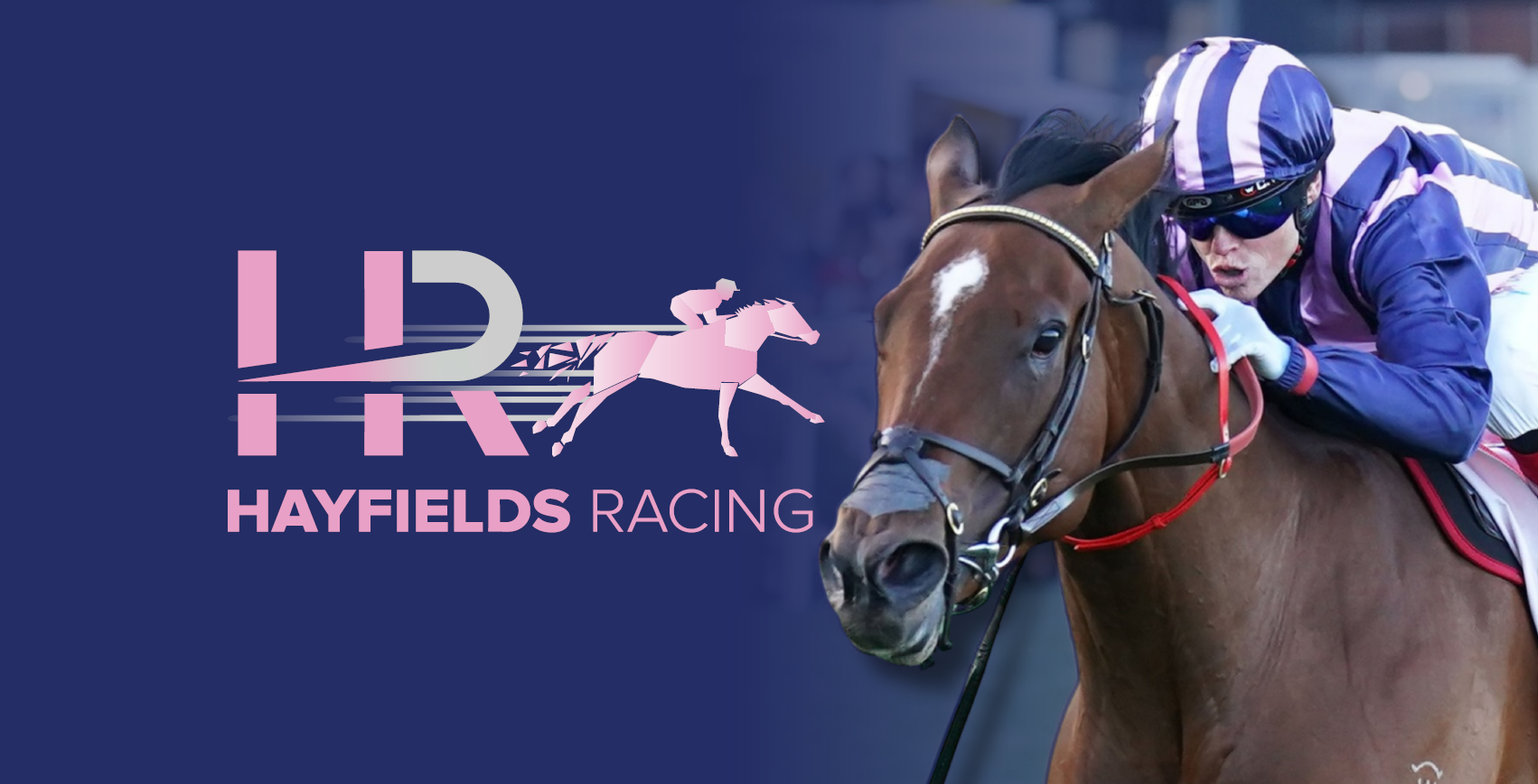 Hayfields Racing (Charlotte Littlefield)