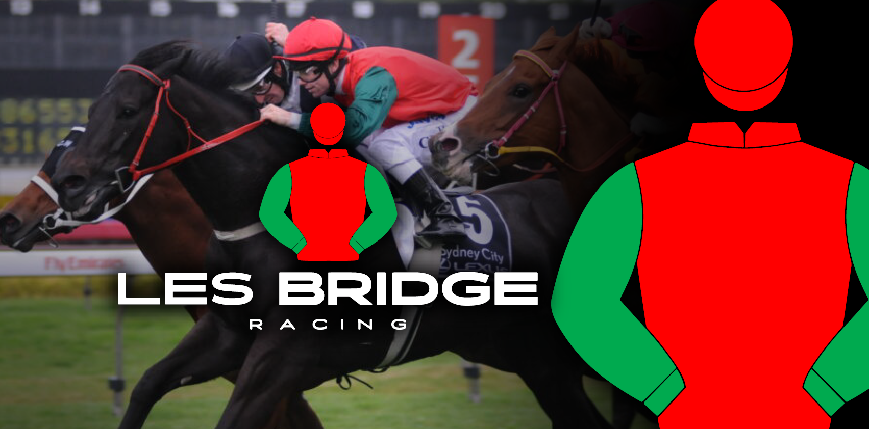 Les Bridge Racing