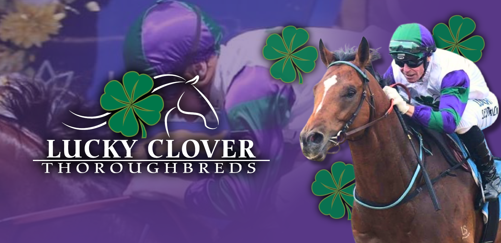 Lucky Clover Thoroughbreds