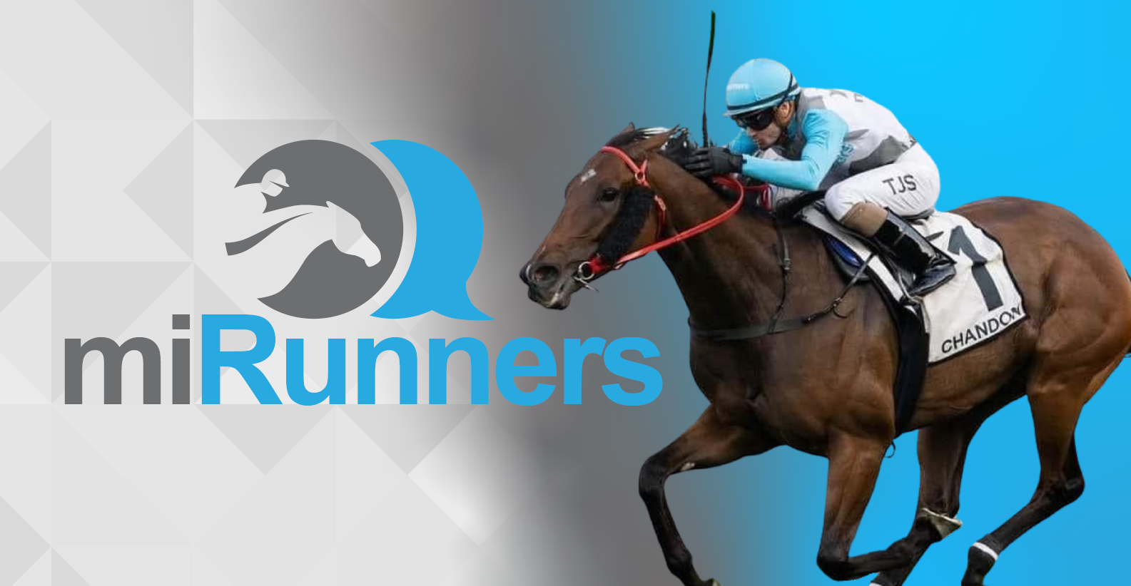 MiRunners – FanFave
