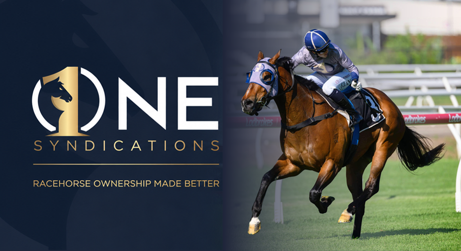 One Syndications x FanFave