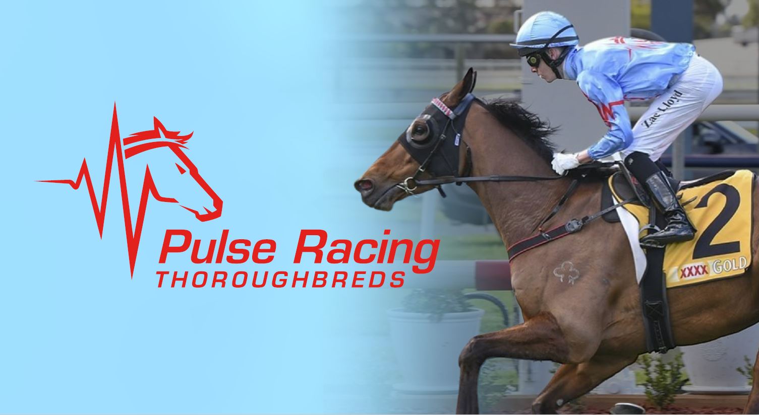 Pulse Racing Thoroughbreds