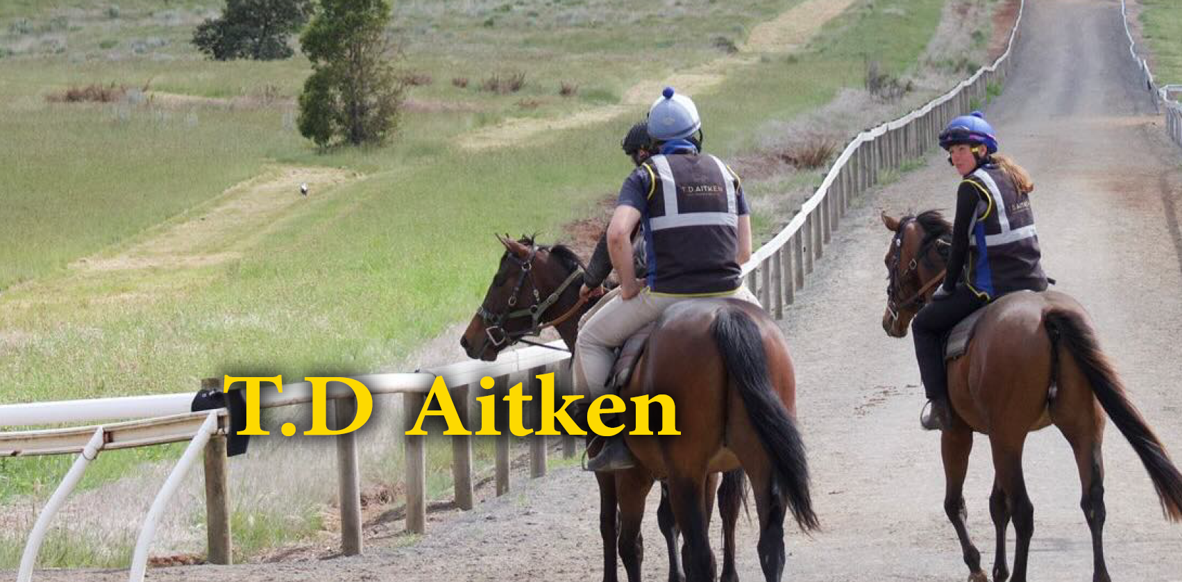 T.D Aitken