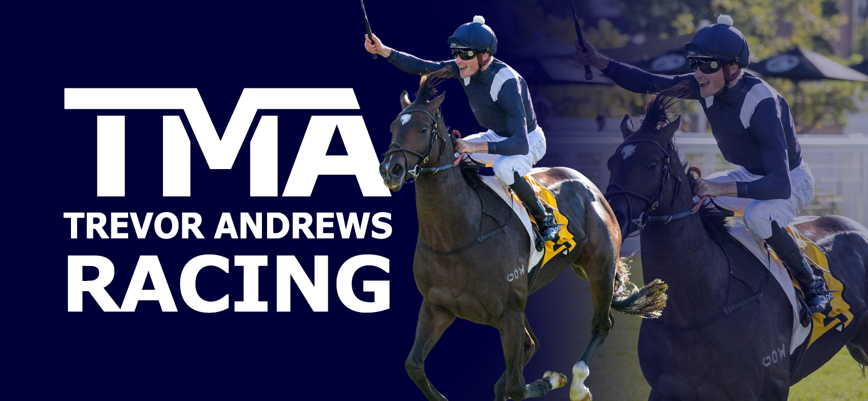 TMA - Trevor Andrews