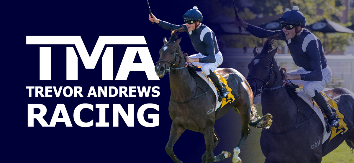 TMA - Trevor Andrews – FanFave