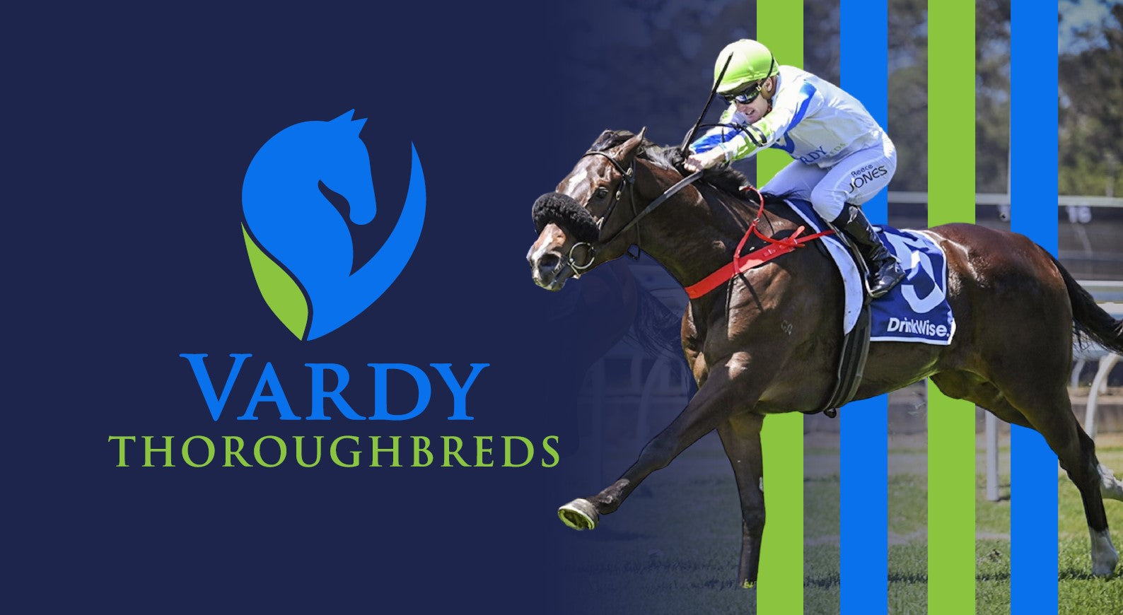 Vardy Thoroughbreds