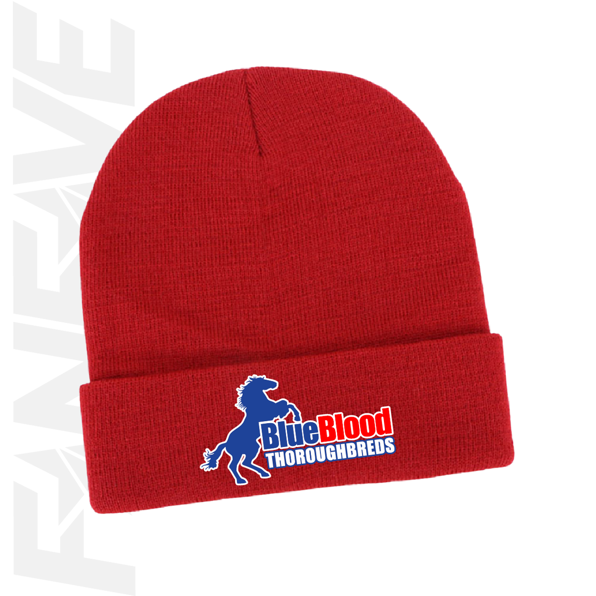 Blueblood Thoroughbreds - Beanie