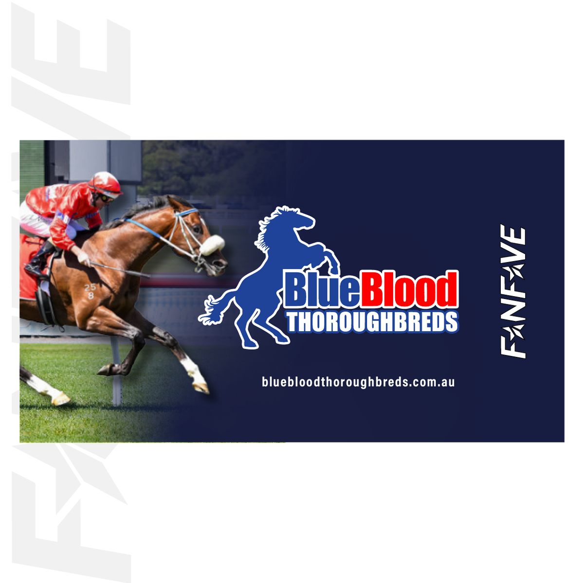 Blueblood Thoroughbreds - Stubby Cooler