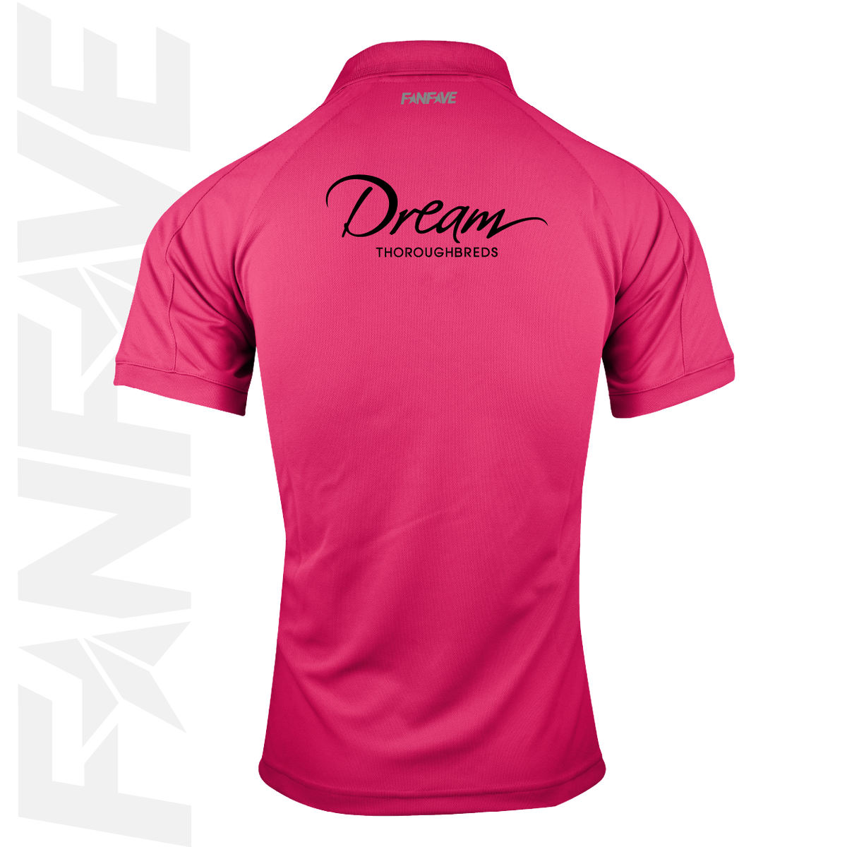 Dream Thoroughbreds - Polo