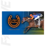 Ledger Racing - Stubby Cooler