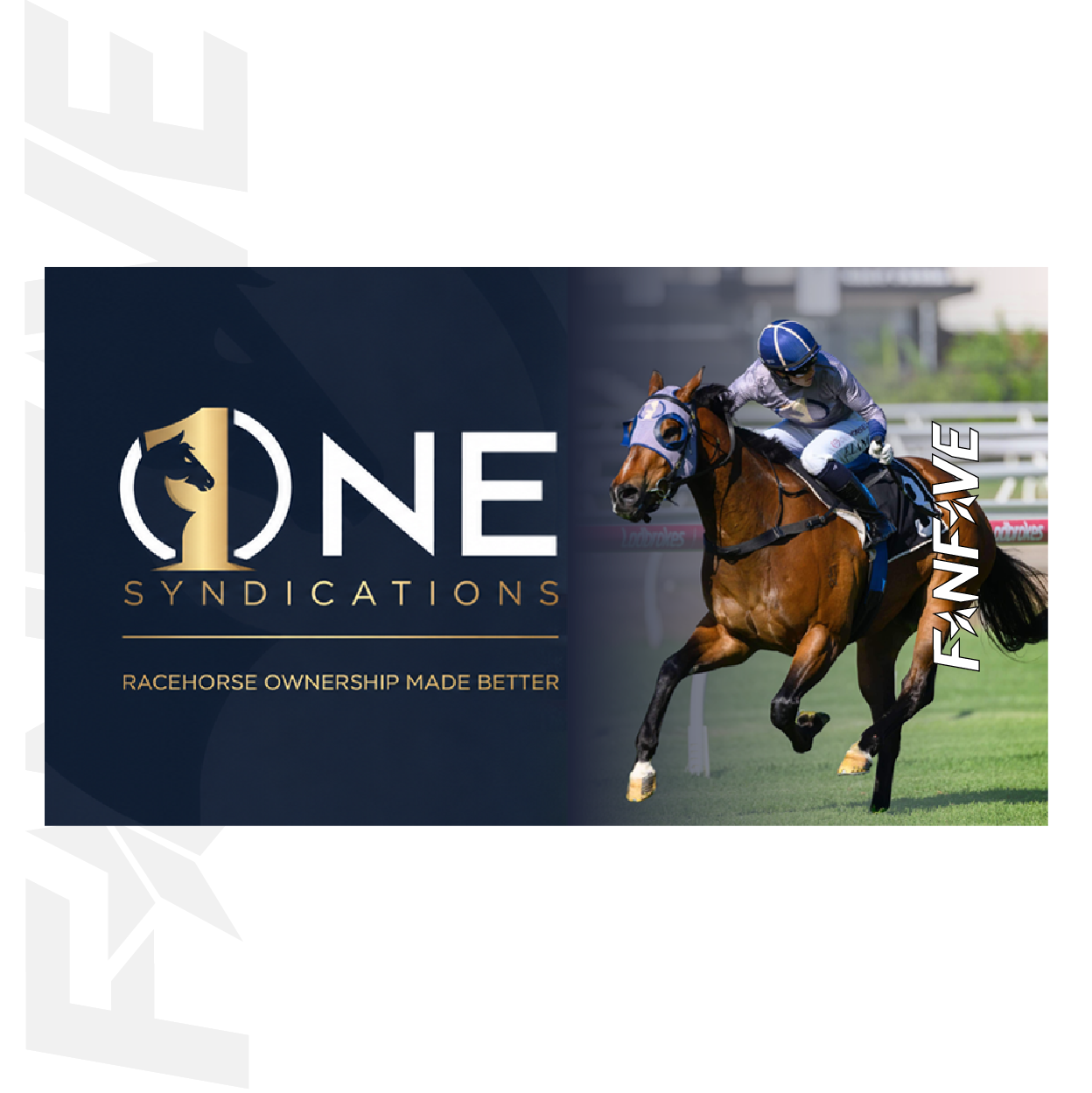 One Syndications - Stubby Cooler
