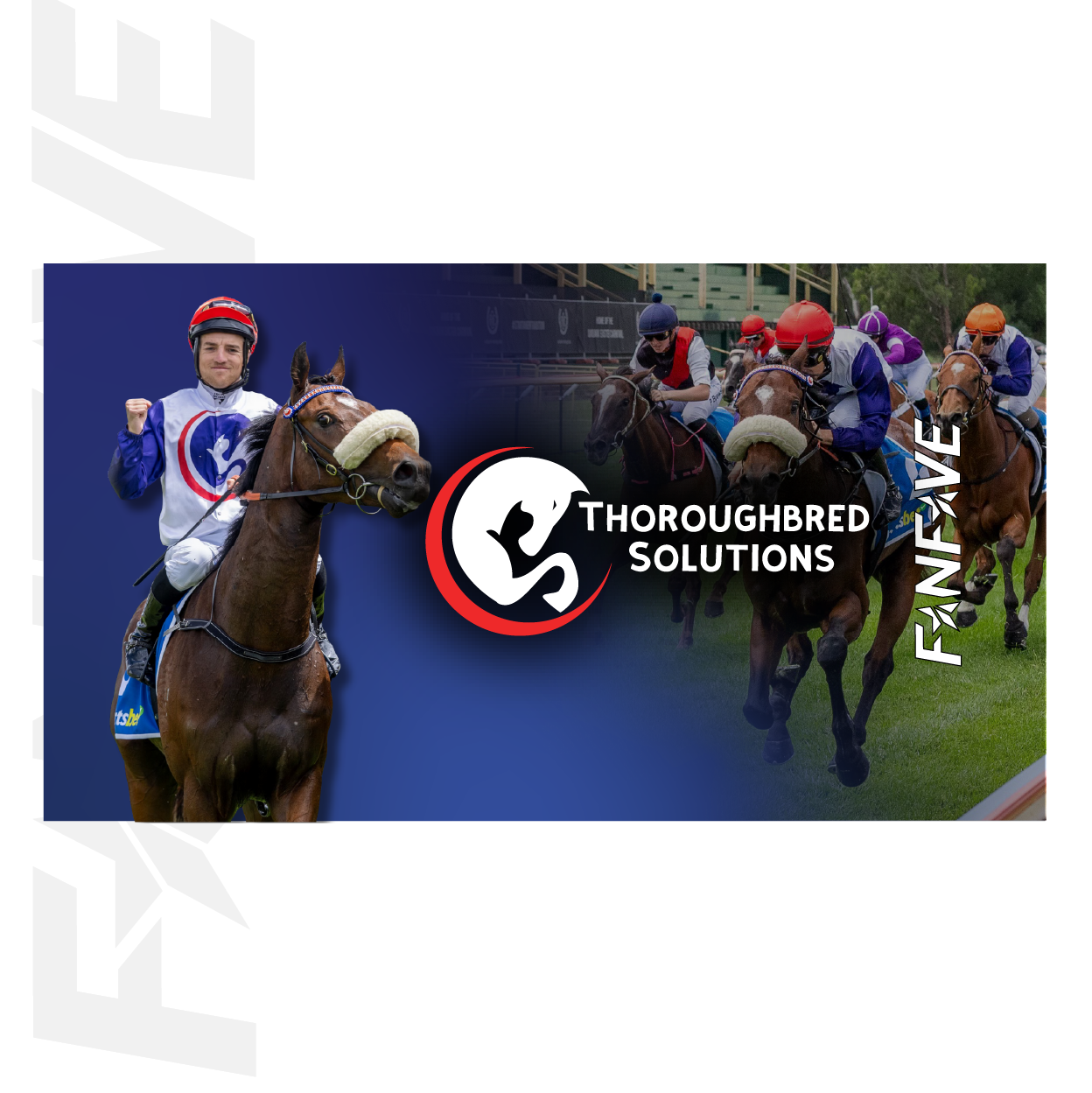 Thoroughbred Solutions - Stubby Cooler