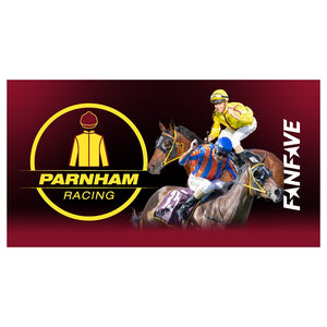 Parnham - Stubby Cooler