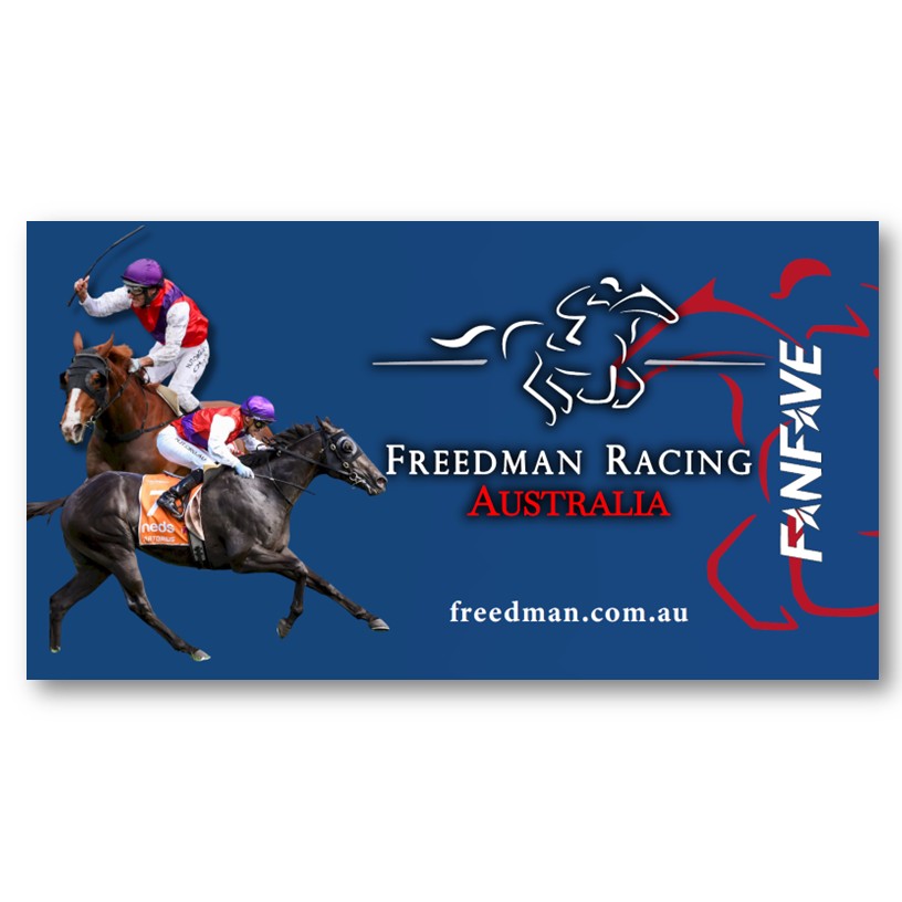 Freedman Racing - Stubby Cooler