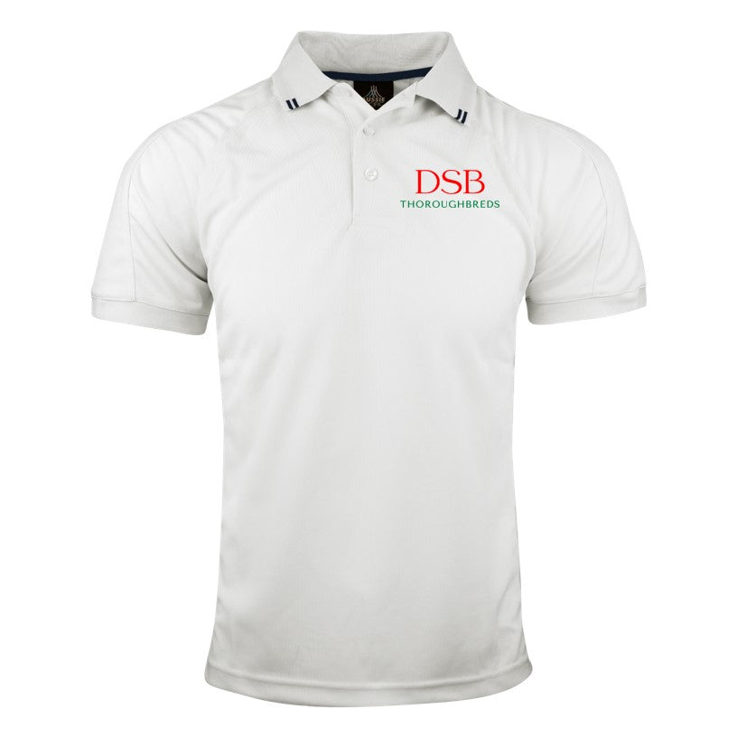 DSB Thoroughbreds - Polo