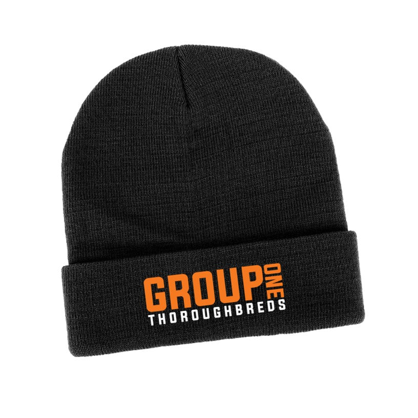 Group One - Beanie