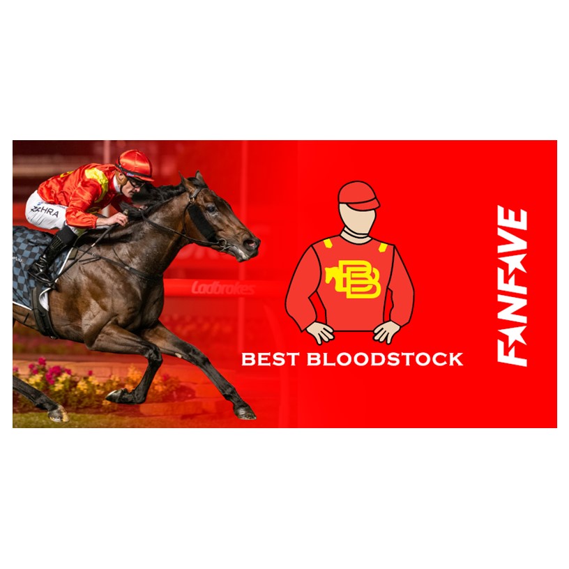 Best Bloodstock - Stubby Cooler