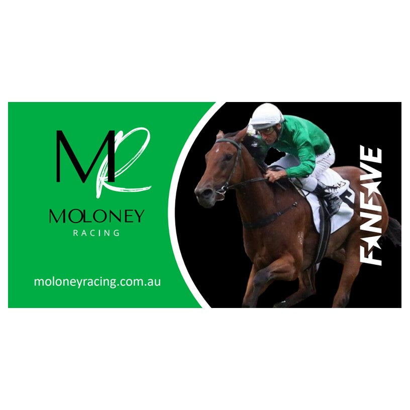 Moloney - Stubby Cooler