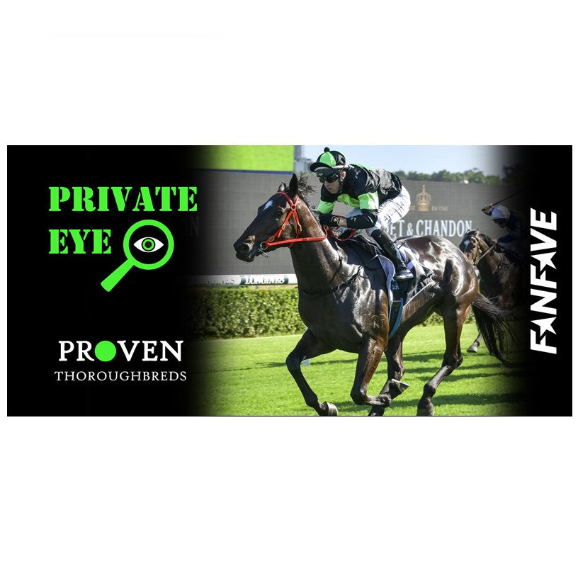Private Eye - Stubby Cooler
