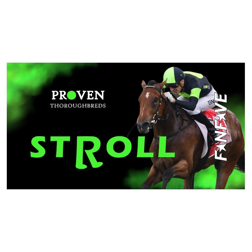 Proven Thoroughbreds - Stroll  - Stubby Cooler